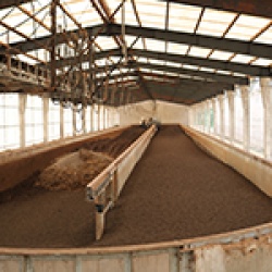 PHÂN CHƯA XỬ LÝ